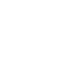 Discount icon